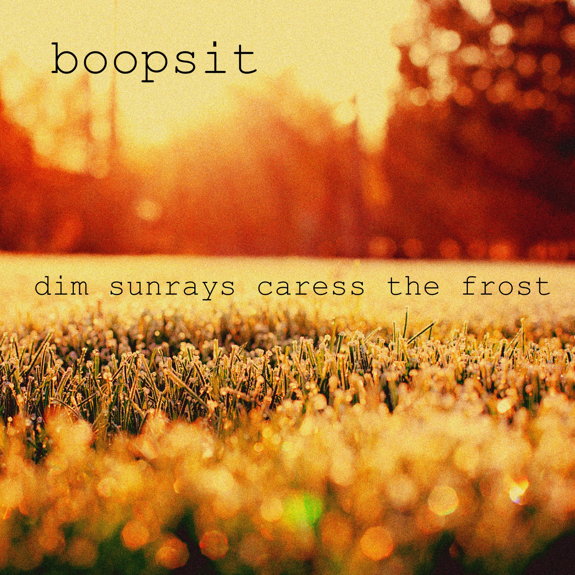 dim sunrays caress the frost