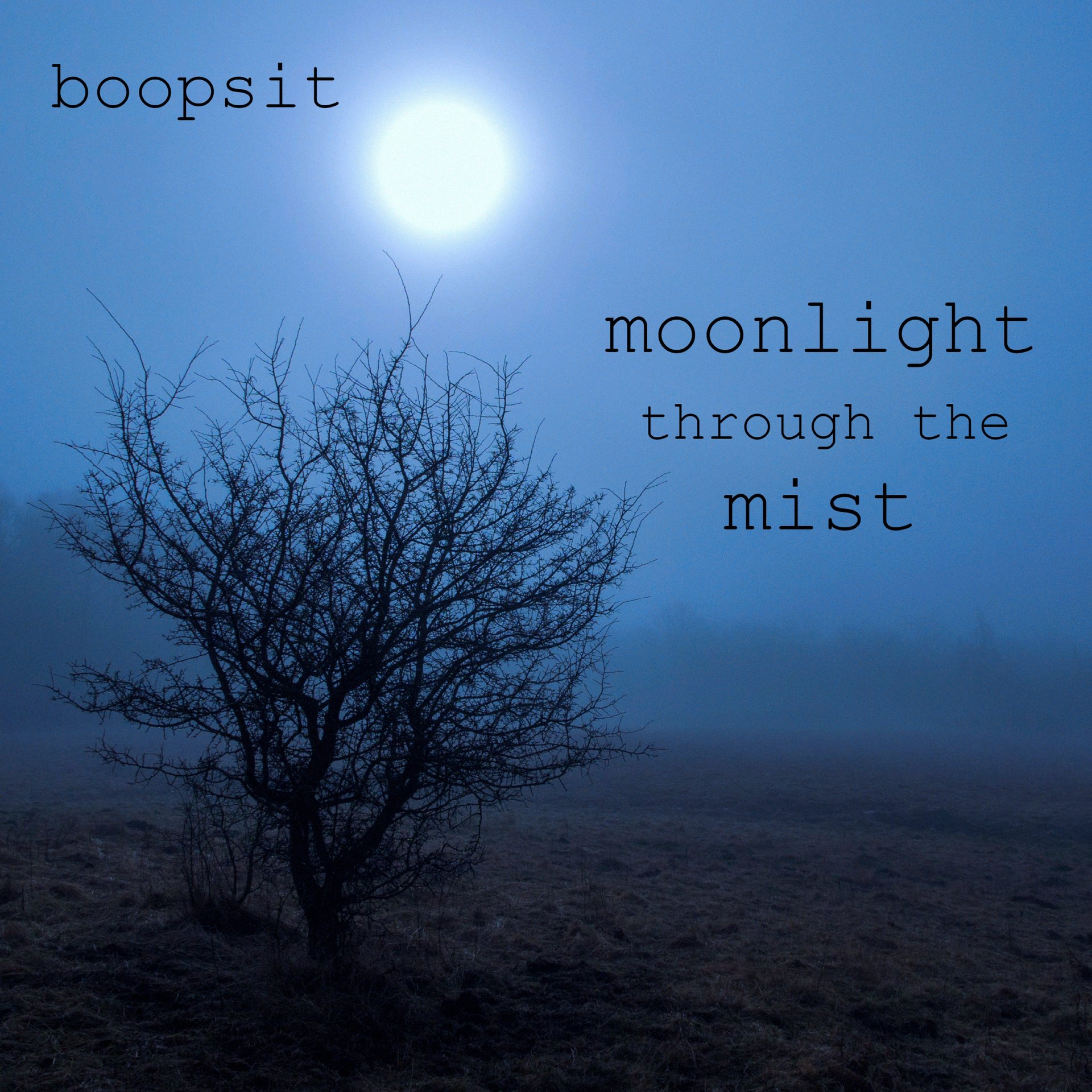 Moonlight through the Mist