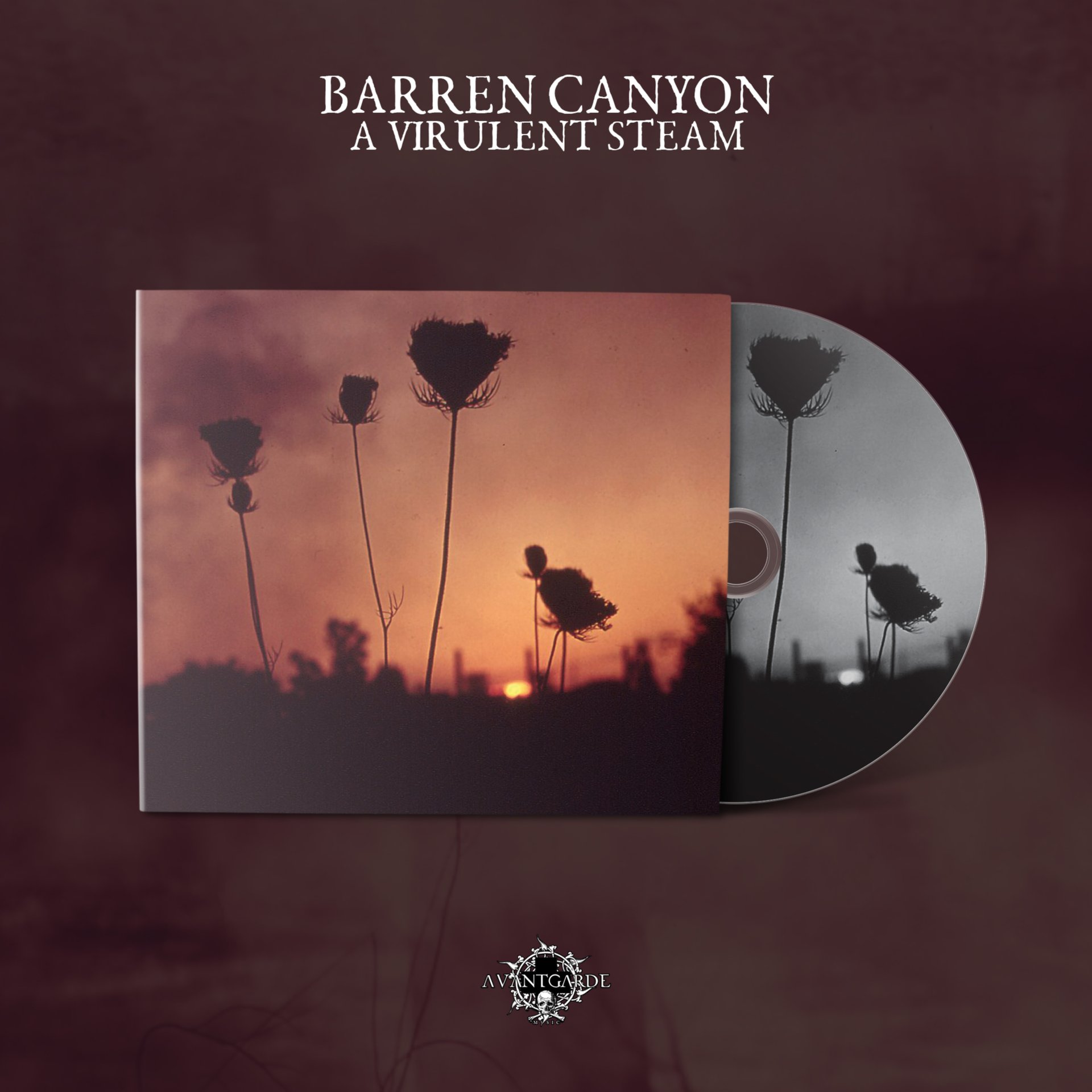 Barren Canyon "A Virulent Stream" Digipak CD - preorder