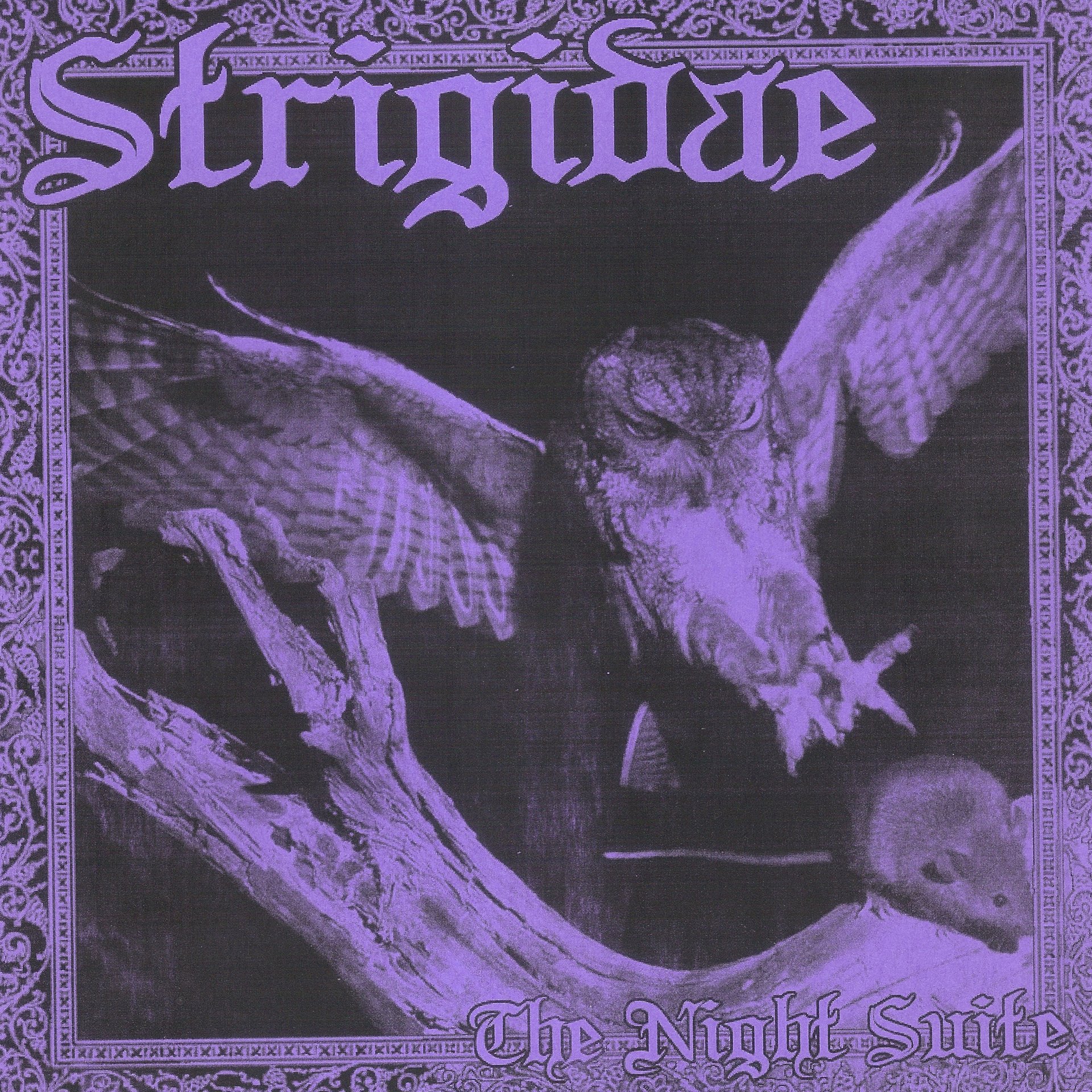 The Night Suite