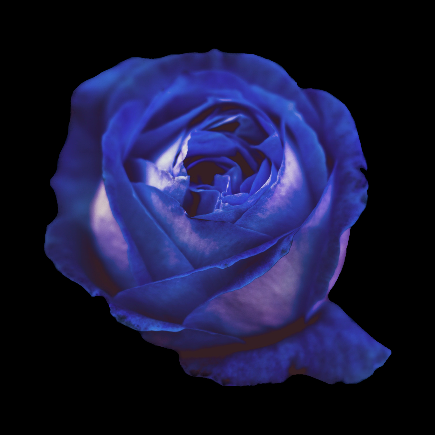 The Devil & The Deep Blue Me (Single)