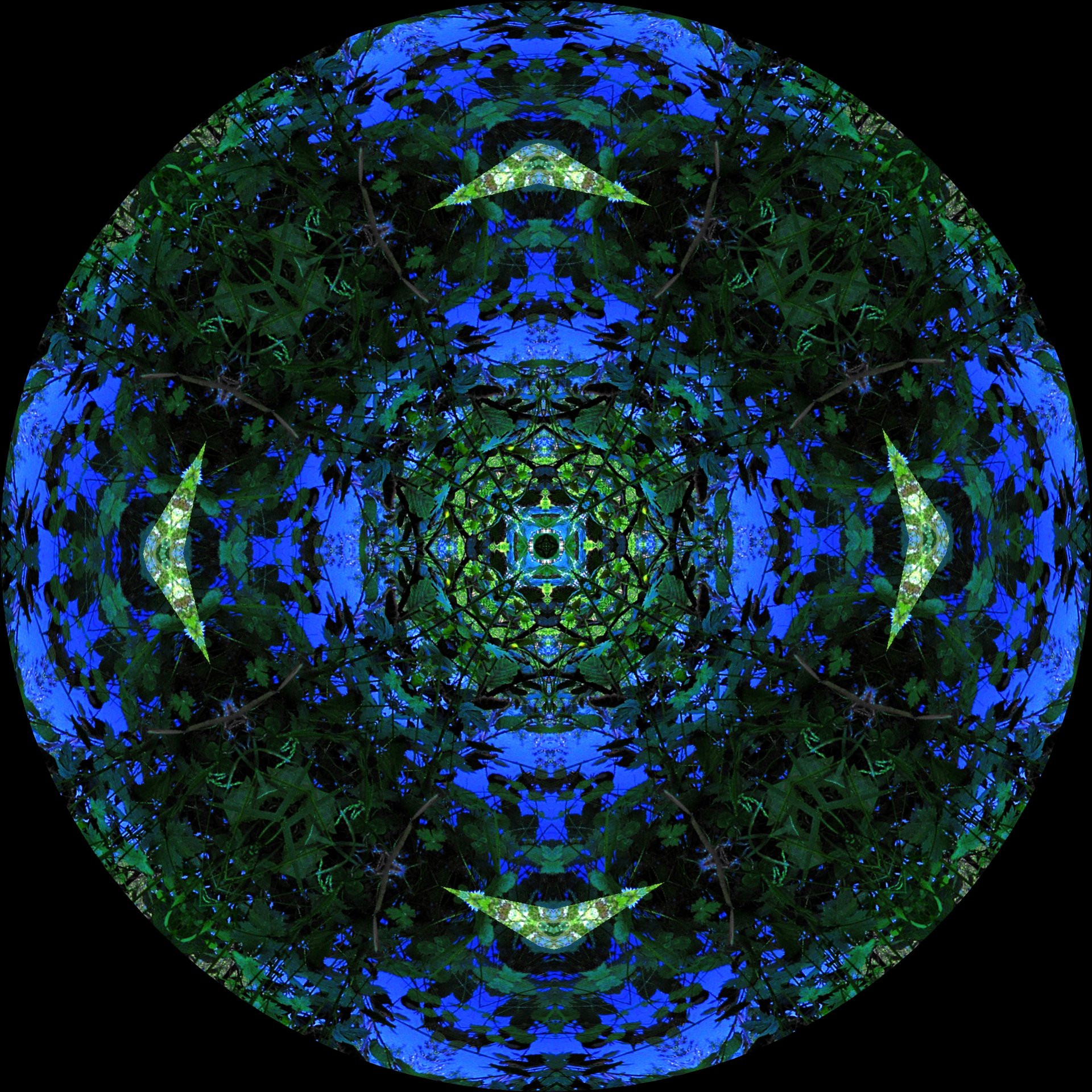 The Twelve Pahirans - Part II