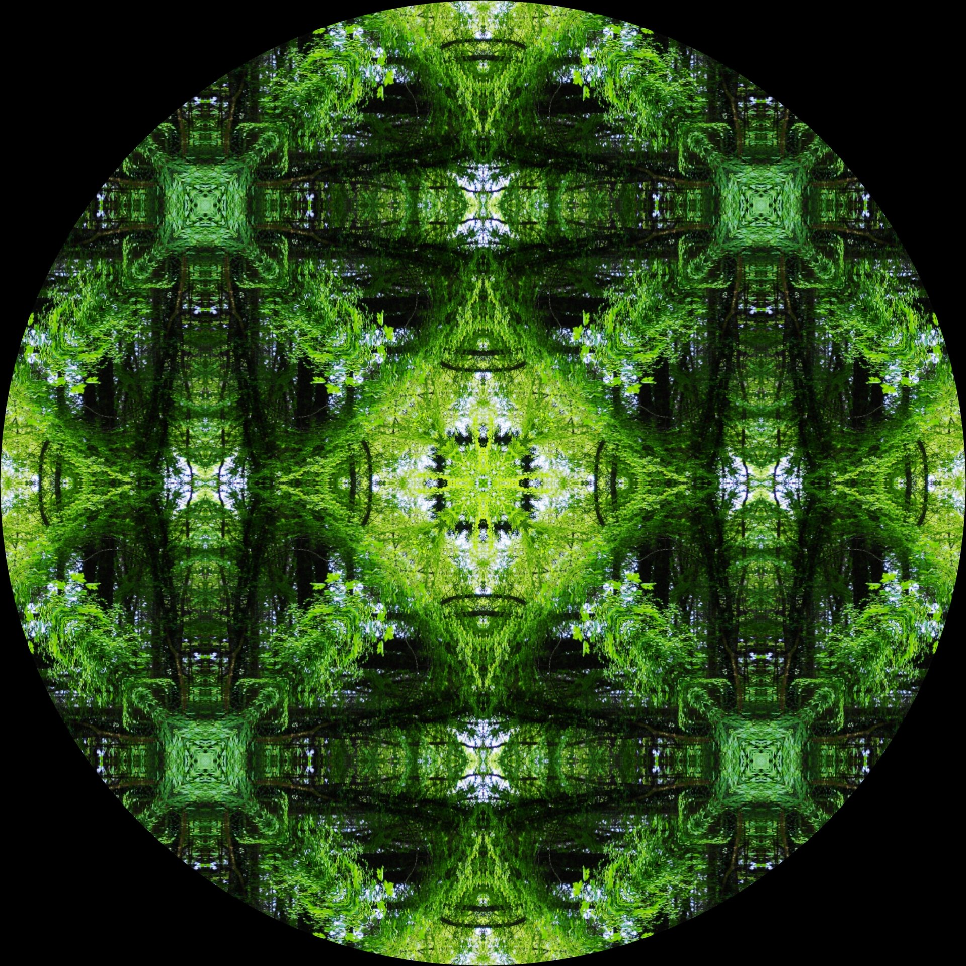 The Twelve Pahirans - Part I