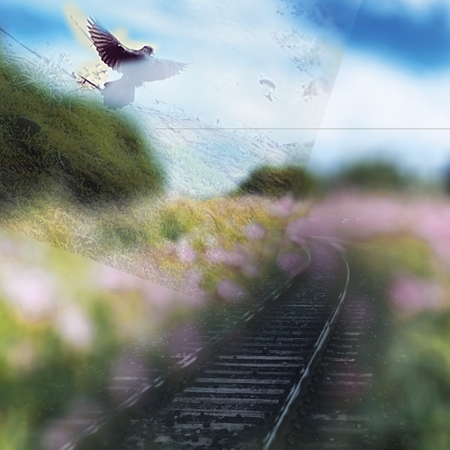 Blue Sun Meadow
