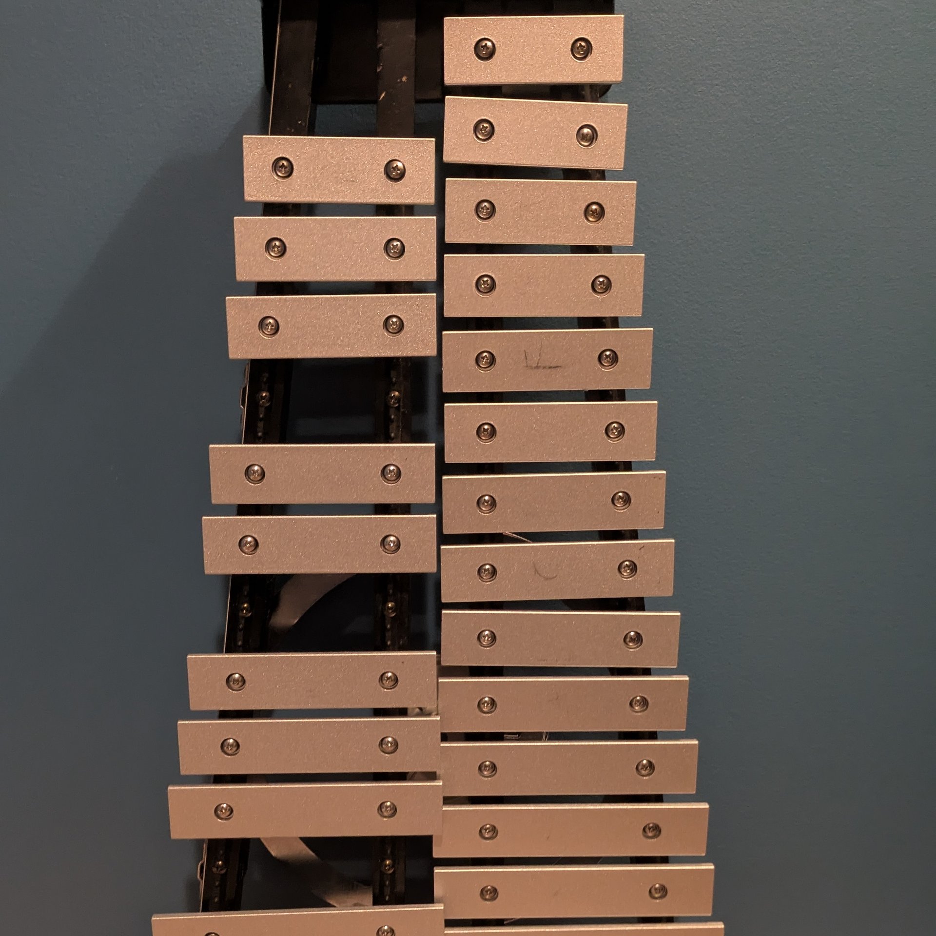 N81
