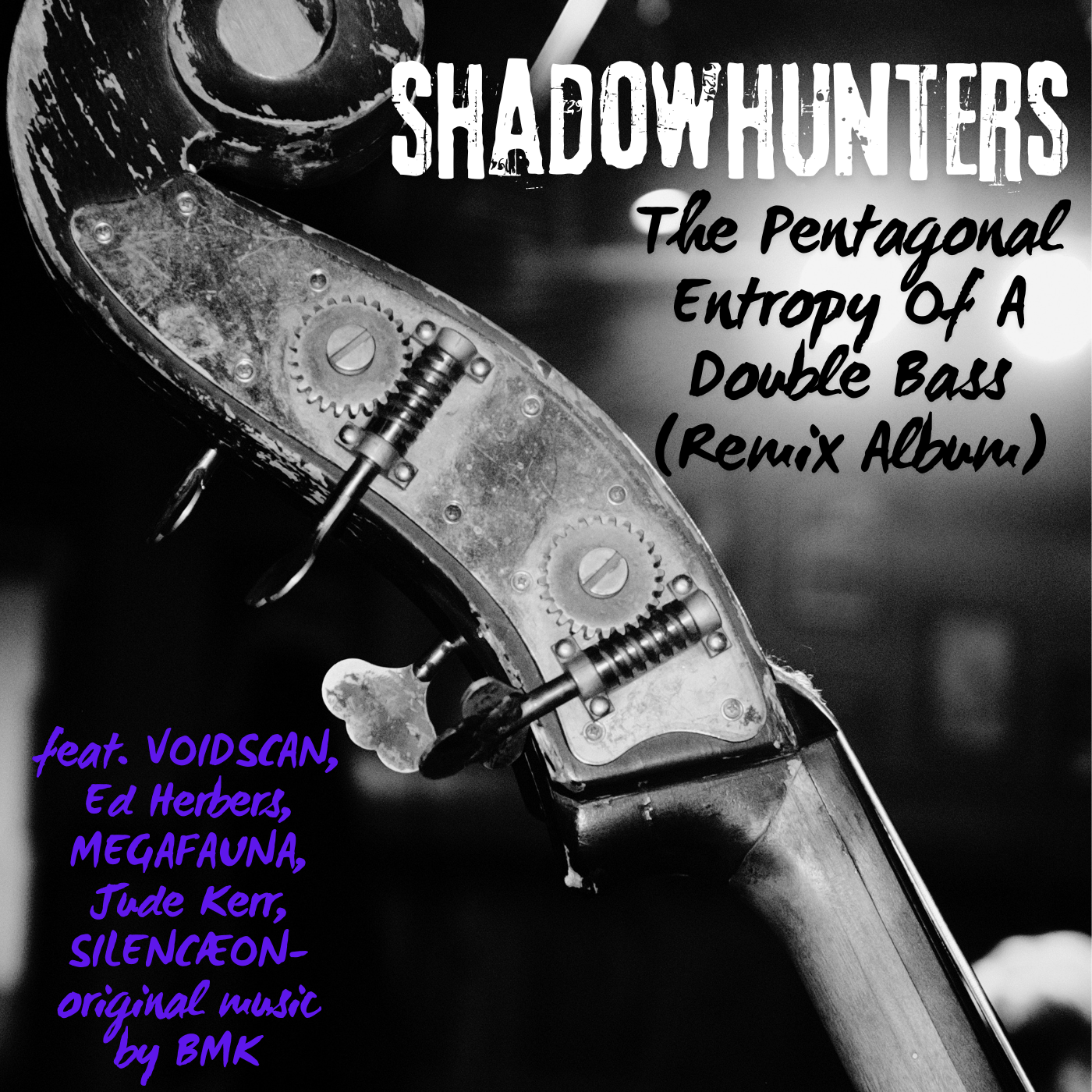 The Pentagonal Entropy Of A Double Bass (Remix Album)