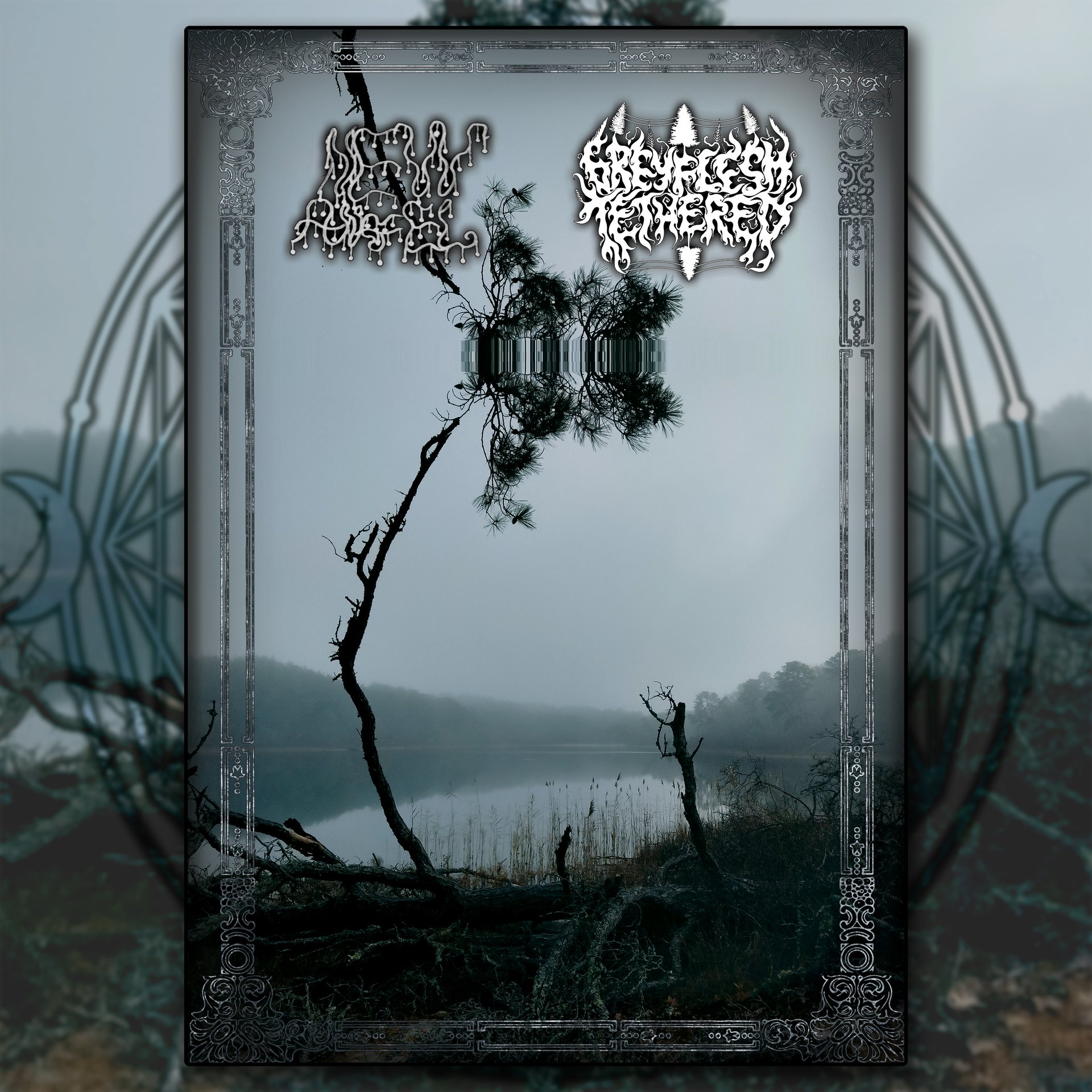 New Angel / greyfleshtethered Split