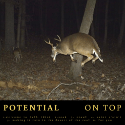Potential