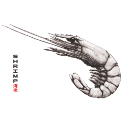 Shrimp