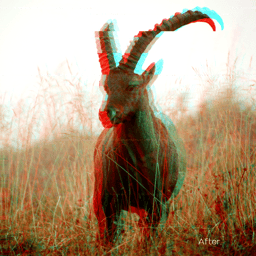 MEGAFAUNA