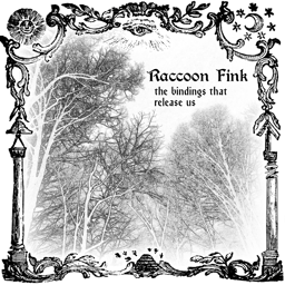 Raccoon Fink
