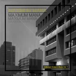 Maximum Mana