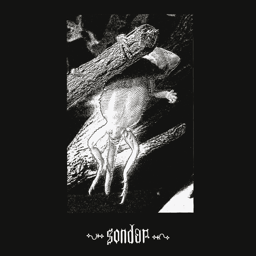 Sondar