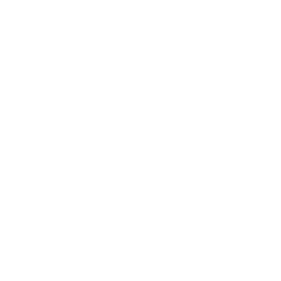 Voodoo Lady