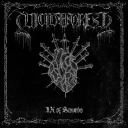 Suicide Forest