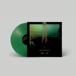 The primary image of Limited Edition 12" Vinyl