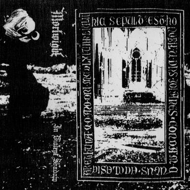 In Violent Shadow