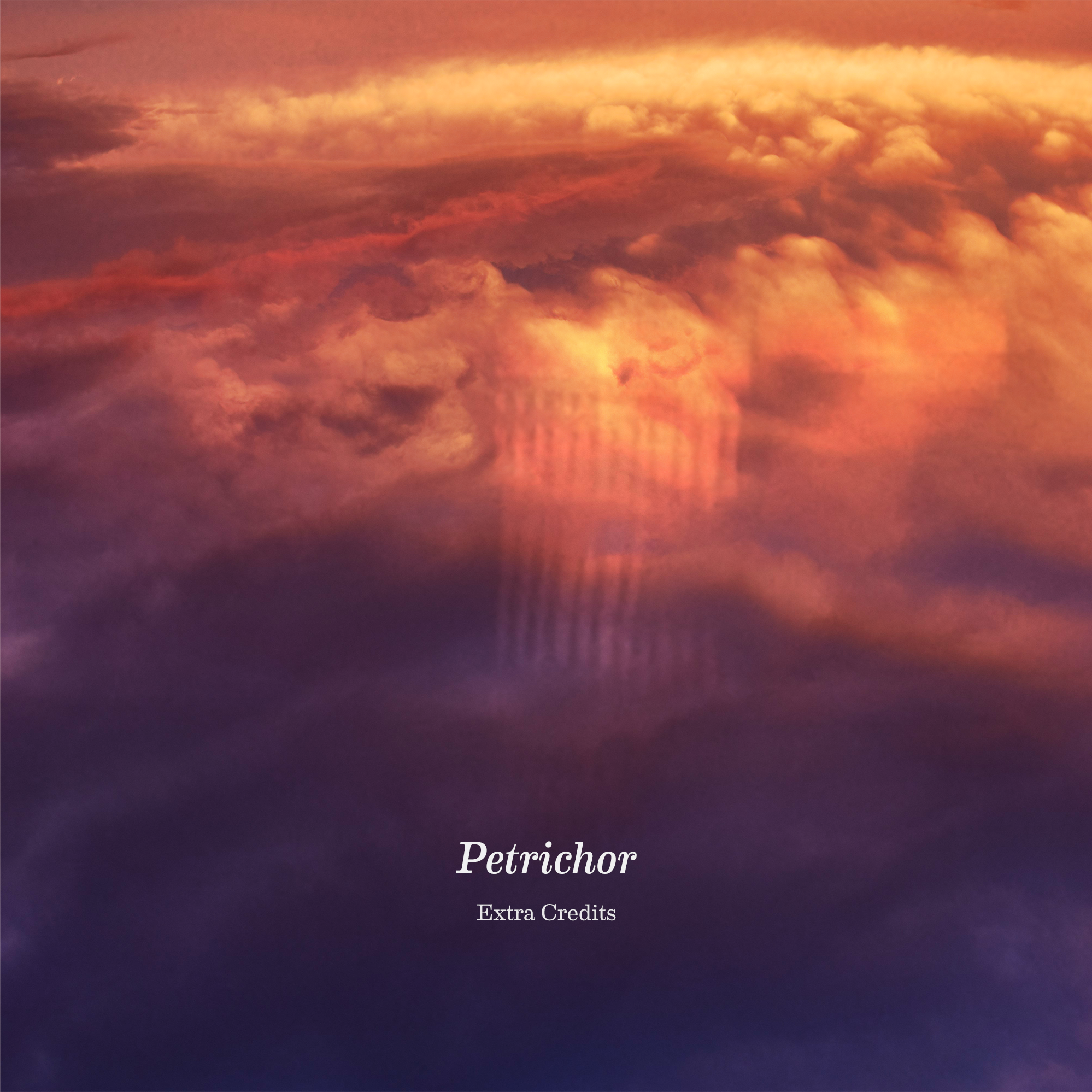 Album artwork for petrichor