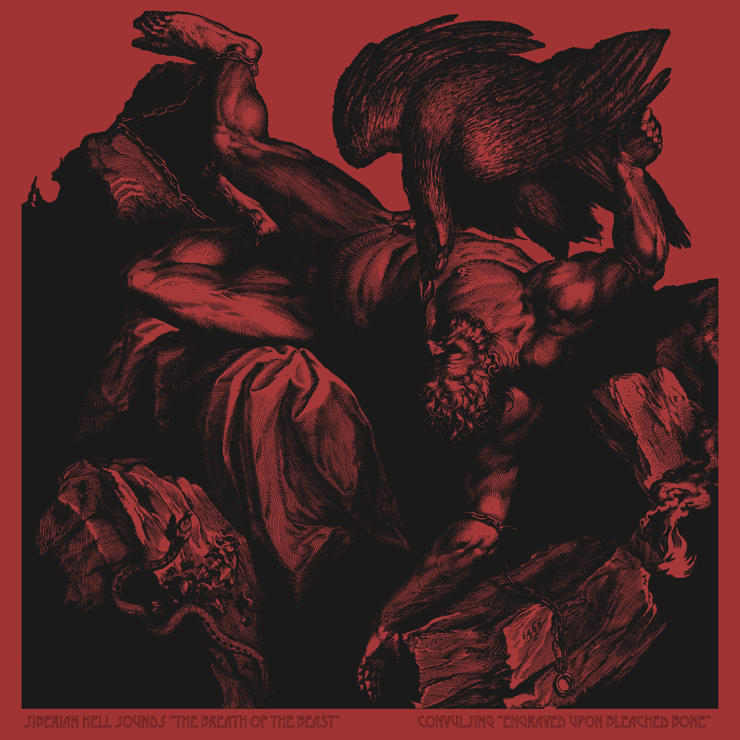 Album artwork for engraved-upon-bleached-bone