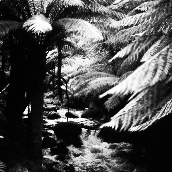 The primary image of Greenhollow