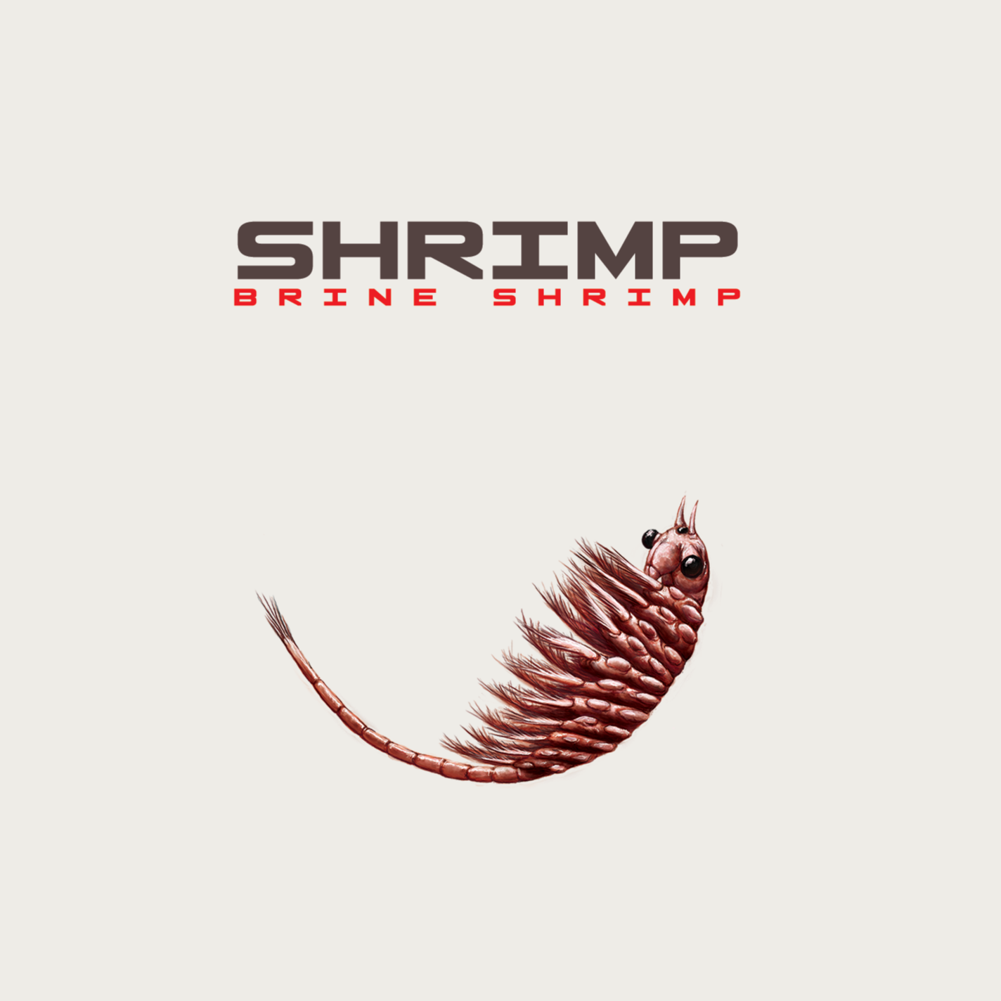 The primary image of Shrimp