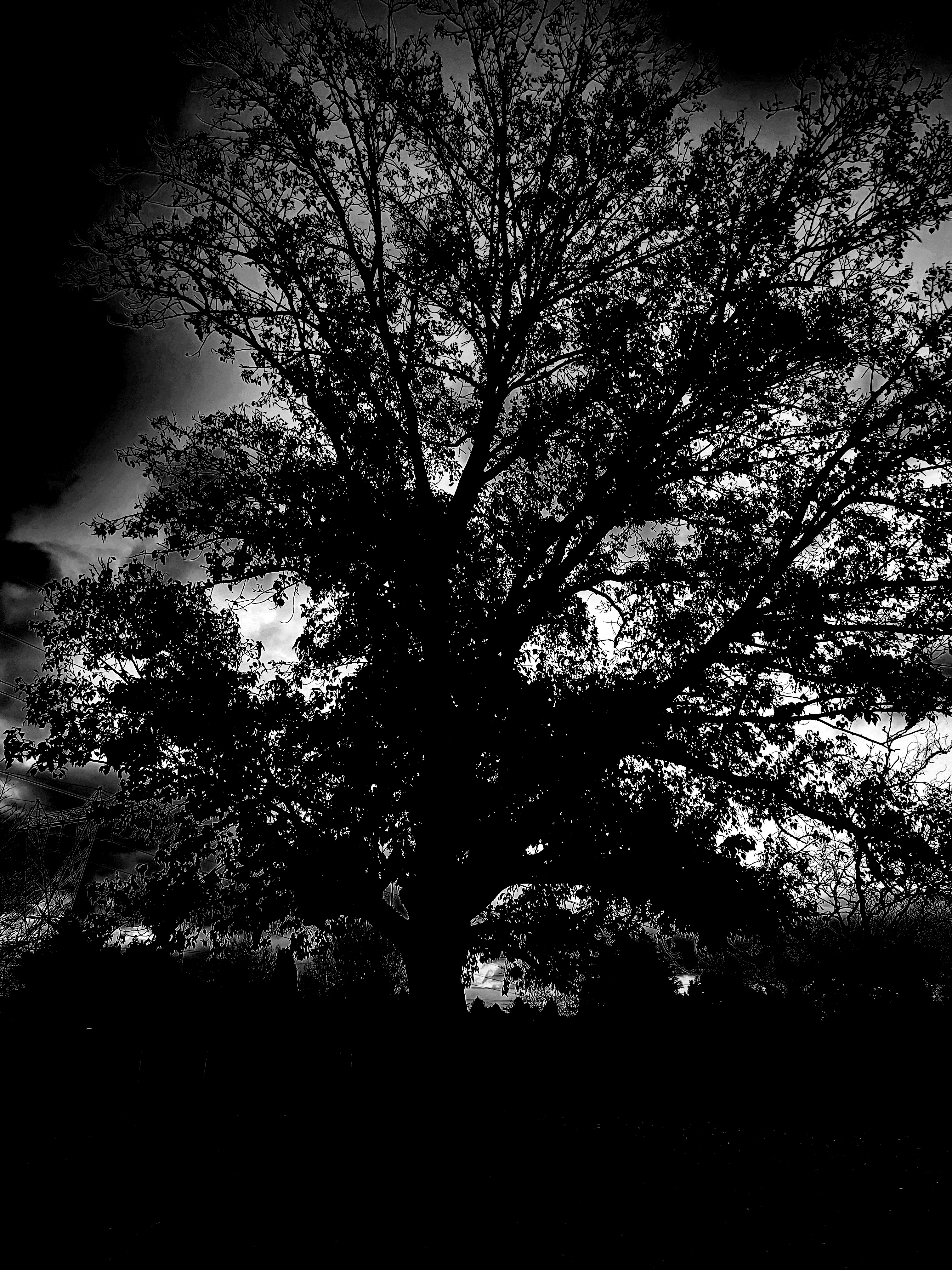 The primary image of Buried in Desolation