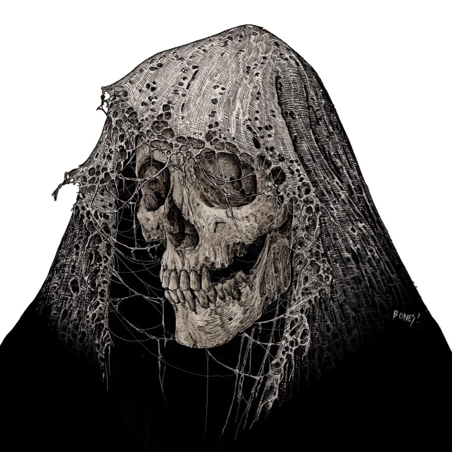 The primary image of Dan Bones