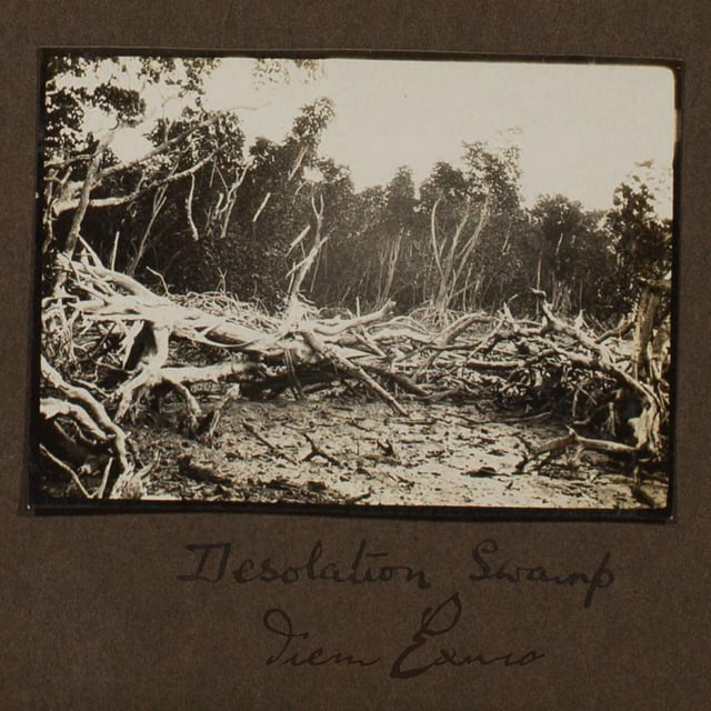Desolation Swamp