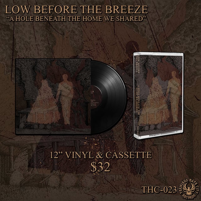 Vinyl + Cassette Bundle