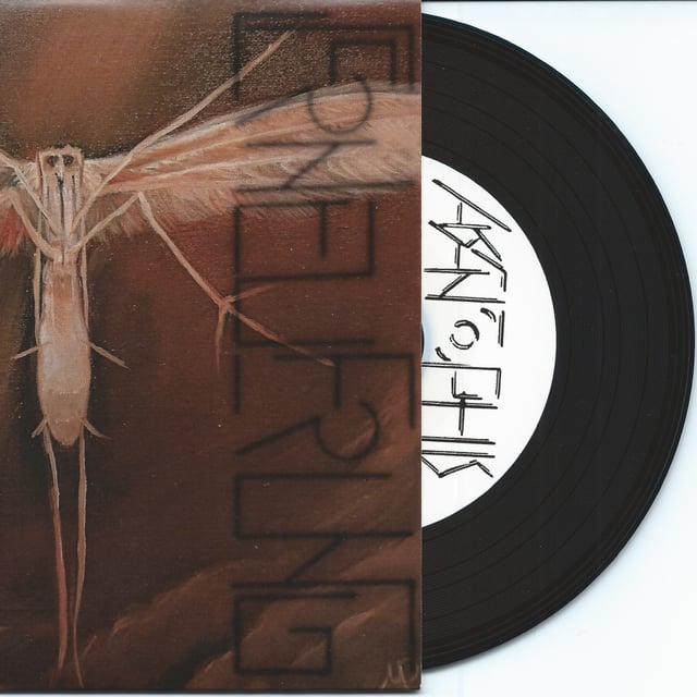 Erneuerung 12" Vinyl