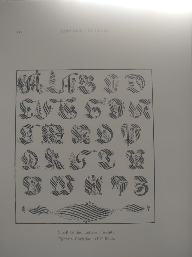 Slide 5