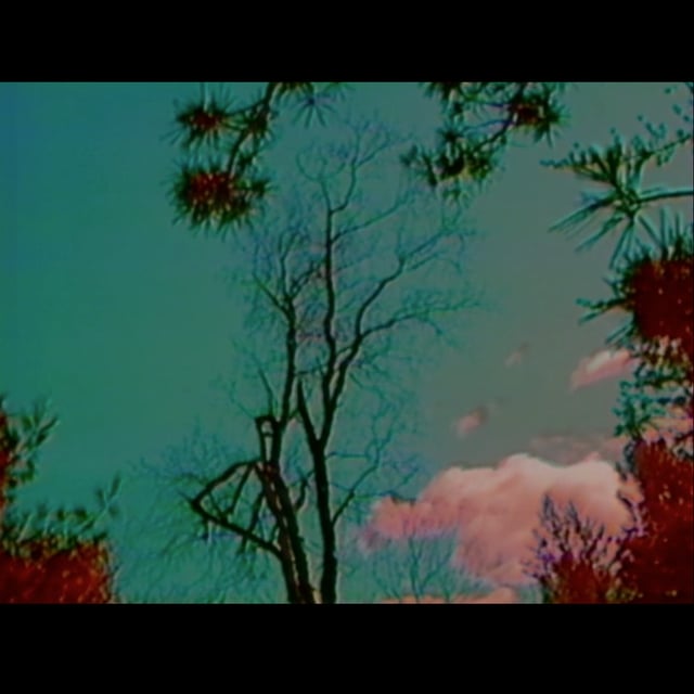 Slide 5