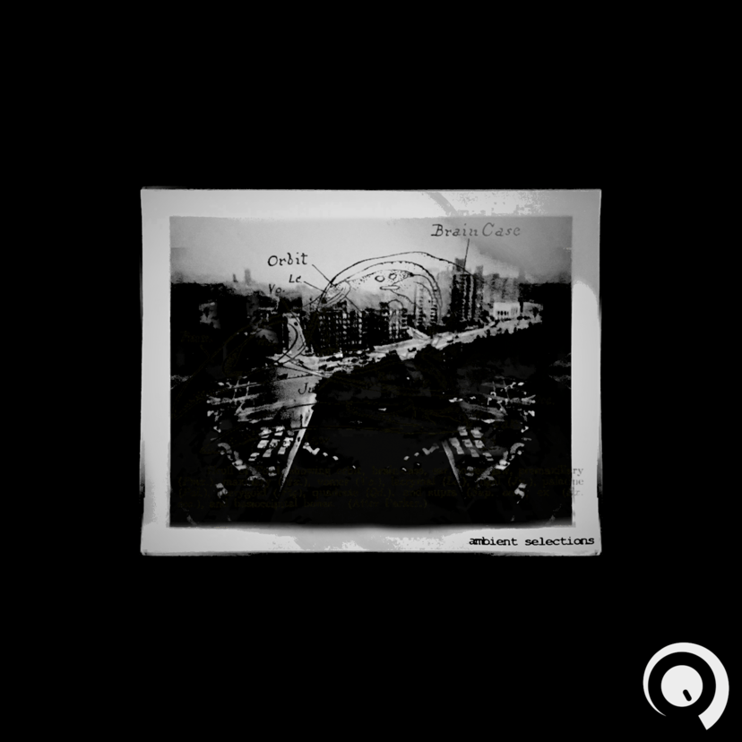 Ambient Selections image header